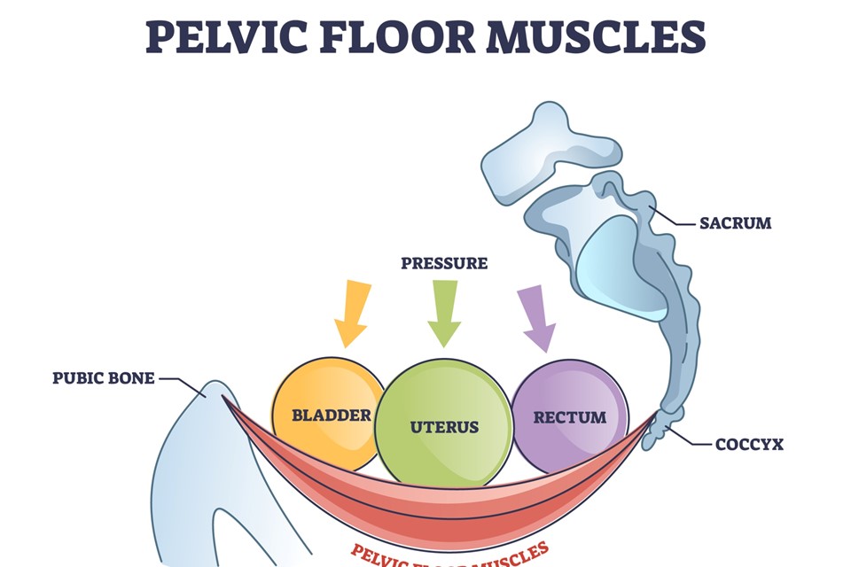 Is it a urinary tract infection or pelvic floor dysfunction